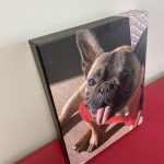dog photo printed on canvas 2